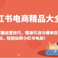 小红书电商精品大全课：快速掌握运营技巧，精准引流与爆单目标，轻松玩转小红书电商！