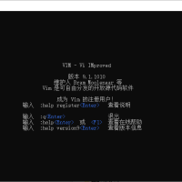 Vim 支持多种编程语言编辑器 v9.1.1010 中文绿色版