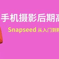 snapseed手机摄影后期高手速成入门到精通