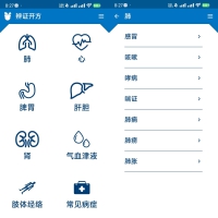 中医辩证开方-查询各个病症和治疗开方