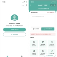 火爆全网的ChatGPT小程序页面模板，让AI回答你的任何问题