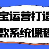 淘宝运营打造爆款系统课程
