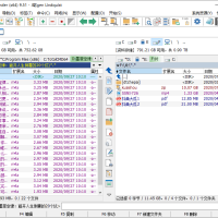 Total Commander v11.55增强版
