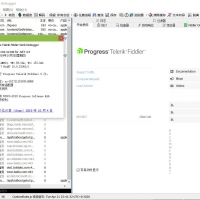 专业网络抓包工具 Telerik Fiddler 5.0.20194.41348 简体中文绿色版