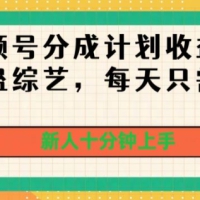 撸视频号分成计划收益，国外整蛊综艺，每天只需一小时，新人十分钟上手
