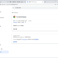 Google Chrome v138.0.7204.101增强版