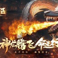 龍行战纪专属神器单职业版[翎风引擎]