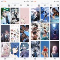 倾心壁纸v1.4.7纯净版，最新版直接封神，比VIP版还香