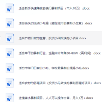 项目概括300篇