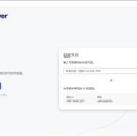 TeamViewer 远程协助工具 v15.63.4 官方绿色版