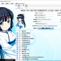 CrystalDiskInfo v9.9.2绿色版 免费专业硬盘检测工具，硬盘健康状态信息检测工具