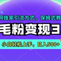 羊毛粉变现 3.0 全网独家引流方式，保姆式教学，小白轻松上手，日入 500+