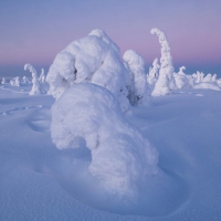 Alister Benn 富有表现力的风光后期减淡和加深大师班，中英字幕