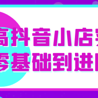 老高抖音小店实操零基础到进阶