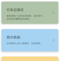 专业的视频监控软件，主要有行车记录仪和抓拍两种工作模式