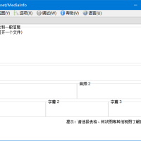 MediaInfo 多媒体文件信息查看 v25.03 中文绿色版