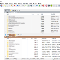 XYplorer v28.30.1900绿色便携版