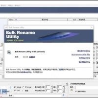Bulk Rename Utility 文件重命名工具 v3.1汉化 绿色版