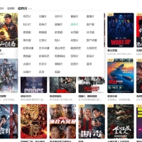 ZY Player v3.2.1全网电影电视剧免费看聚合播放器