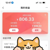 全自动刷视频挂机项目,工作室批量2天赚了836，新手能月入6000+（傻瓜化教程附工具）