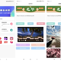 无印去水印 支持多平台解析