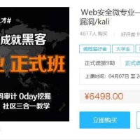 Web安全正式篇渗透/黑客/linux/网络/攻防/漏洞/kali