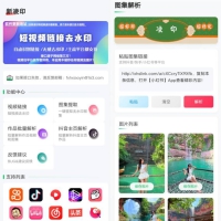 新凌印v4.3.0免费的抖音快手等去水印软件