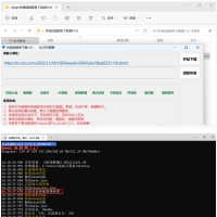央视视频超级下载工具V1.0央视视频所有视频均可解析下载...