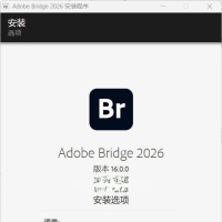 Adobe Bridge 2026 v16.0.6.9