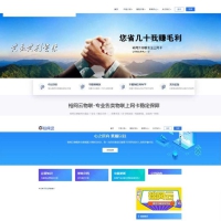 流量卡网站源码 带后台文章系统+网站SEO优化
