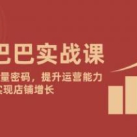 阿里巴巴实战课：掌握1688流量密码，提升运营能力，实现店铺增长
