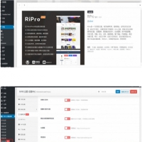最新RiPro6.3.8素材资源下载站wordpress主题模板 完整修复+加密去后门