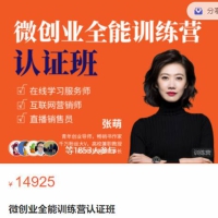 张萌萌姐微创业全能训练营认证班名师讲座