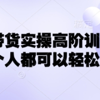小红书带货实操高阶训练营让每个人都可以学会
