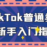 TikTok普通卖家新手入门指南