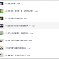 零基础闲鱼运营卖家篇系统课程