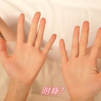 做你的猫恋爱游戏
