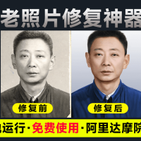 阿里达摩院黑科技DDColor本地老照片上色工具