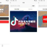 无水印解析-抖音小红书一键解析
