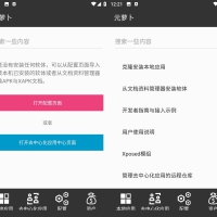 元萝卜 v1.0.10 免root使用框架模块