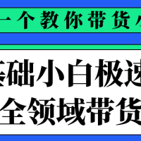 0基础小白极速入门全领域带货课