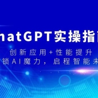 ChatGPT 实操指南，创新应用+性能提升，解锁 AI 魔力，启程智能未来