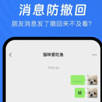 消息防撤回神器 解锁会员版