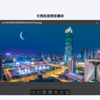 文件格式转换将多格式转换为pdf格式，转换为图片格式在进行预览展示。支持word 转 pdf、word 转图片等