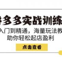 拼多多实战训练营，从入门到精通，海量玩法教程，助你轻松起店盈利