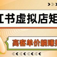 小红书虚拟店矩阵，AI铺货/笔记狂怼/选品搬运/自动发货，高客单价躺赚指南