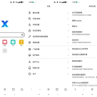 X浏览器谷歌版-无限嗅探资源