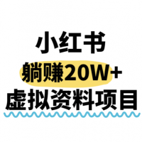 小红书操作虚拟资料，搬运工模式躺挣20W+，互联网的低成本路子！