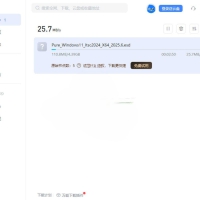 迅雷17 v25.0.90.1582绿色精简版