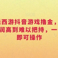 靠大话西游抖音游戏撸金，一单 30，利润高到难以把持，一部手机即可操作，日入 3000+ 小白附带教程和资料【揭秘】